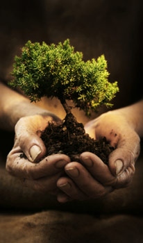 Cultivate demand for your business today!